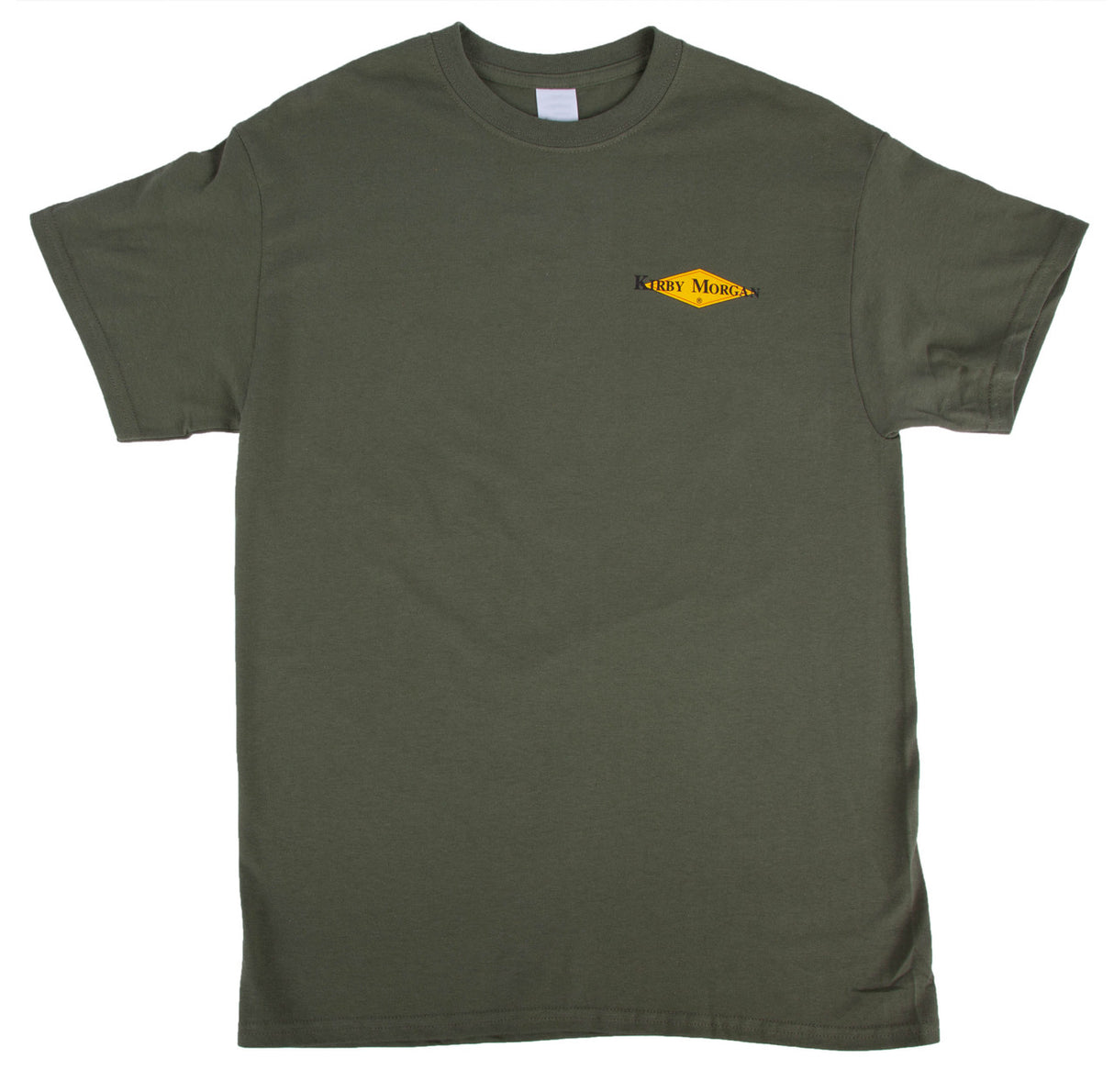 Diving Systems International